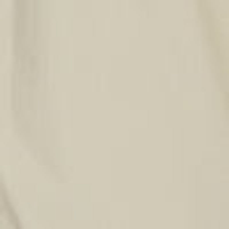 Francine Coat in Silk and Nylon 7