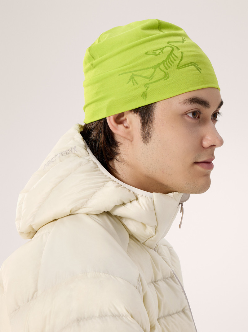 Satoro Merino Toque 5