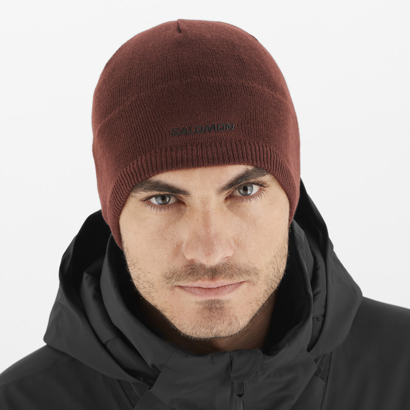 SALOMON SALOMON outlook