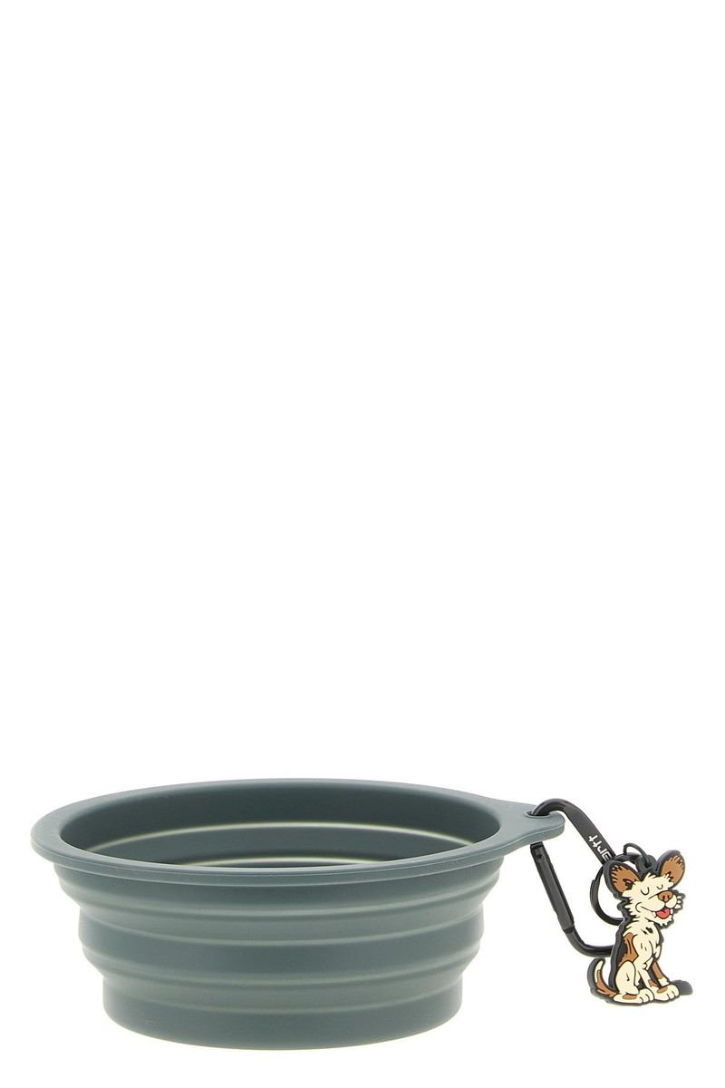 'Wild Dog' Bowl 1