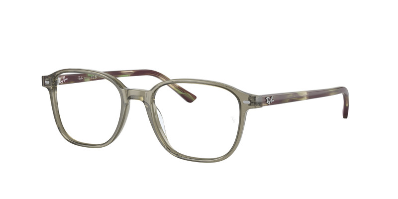 LEONARD OPTICS 3