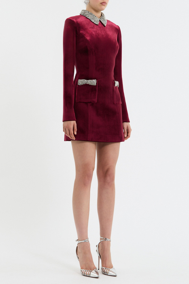 Edwiena Long Sleeve Mini Dress 3