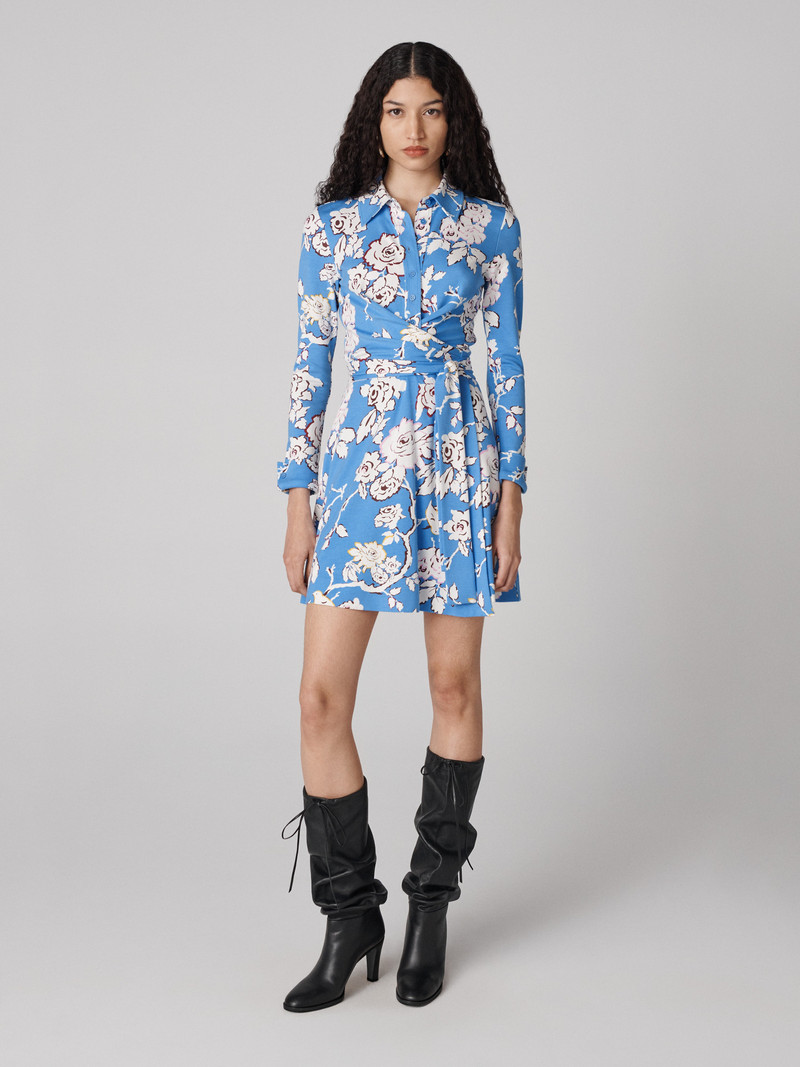 Didi Dress 1