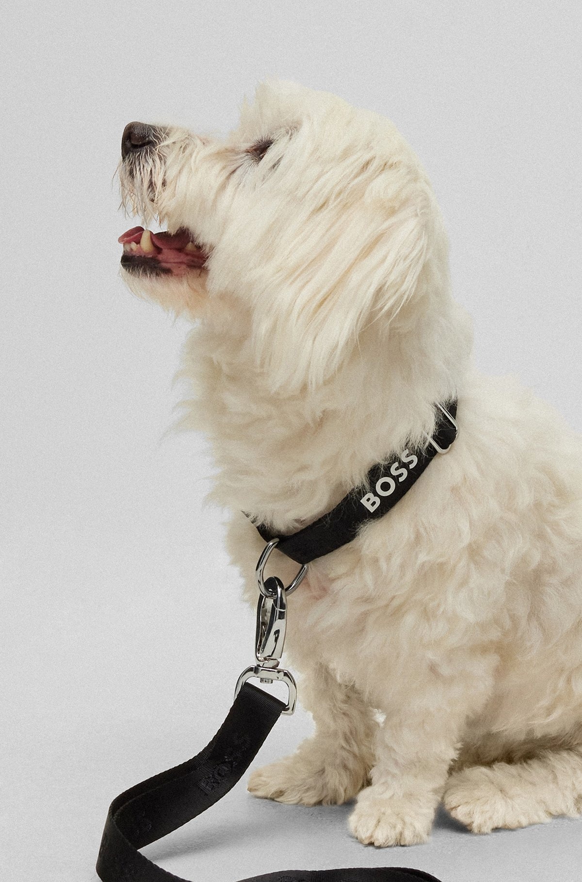 DOG COLLAR WITH JACQUARD LOGO DETAILING - 2
