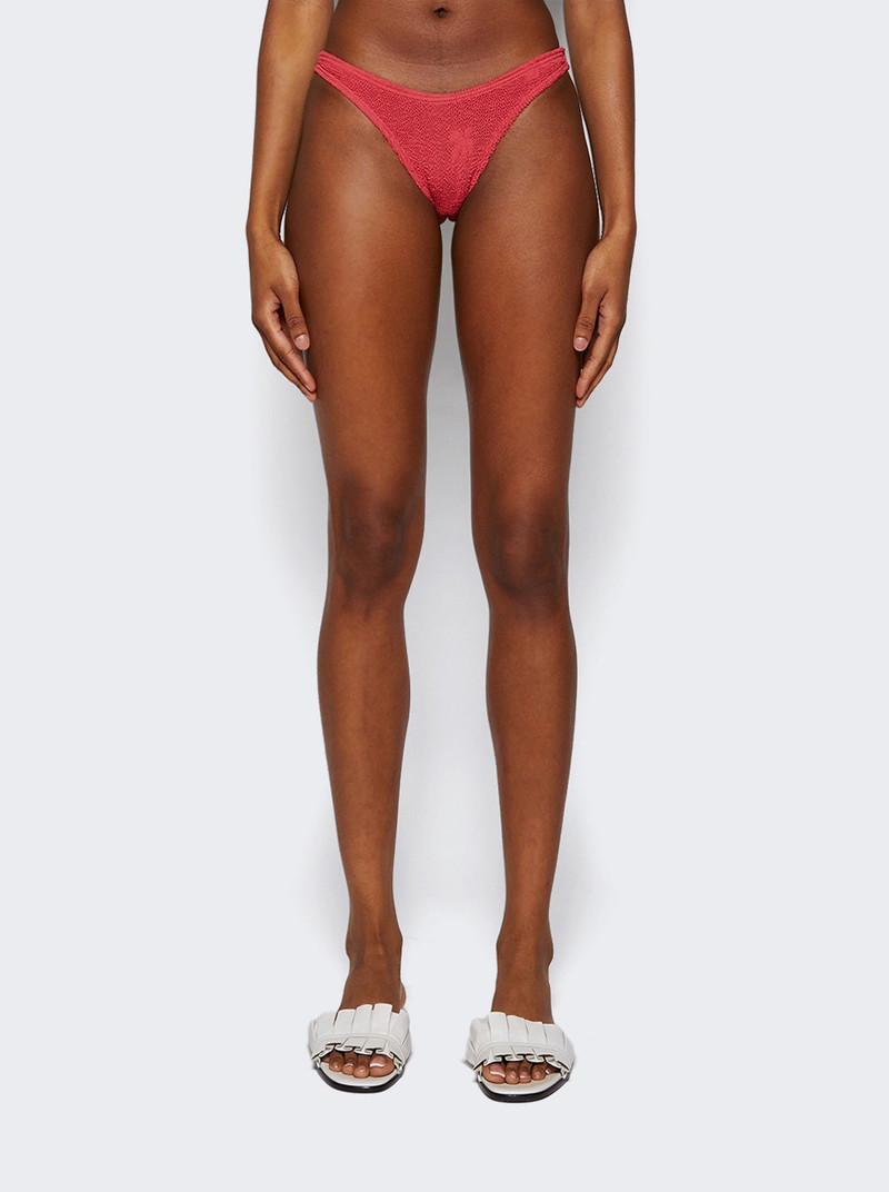 Scene Brief Mineral Red Palm 3