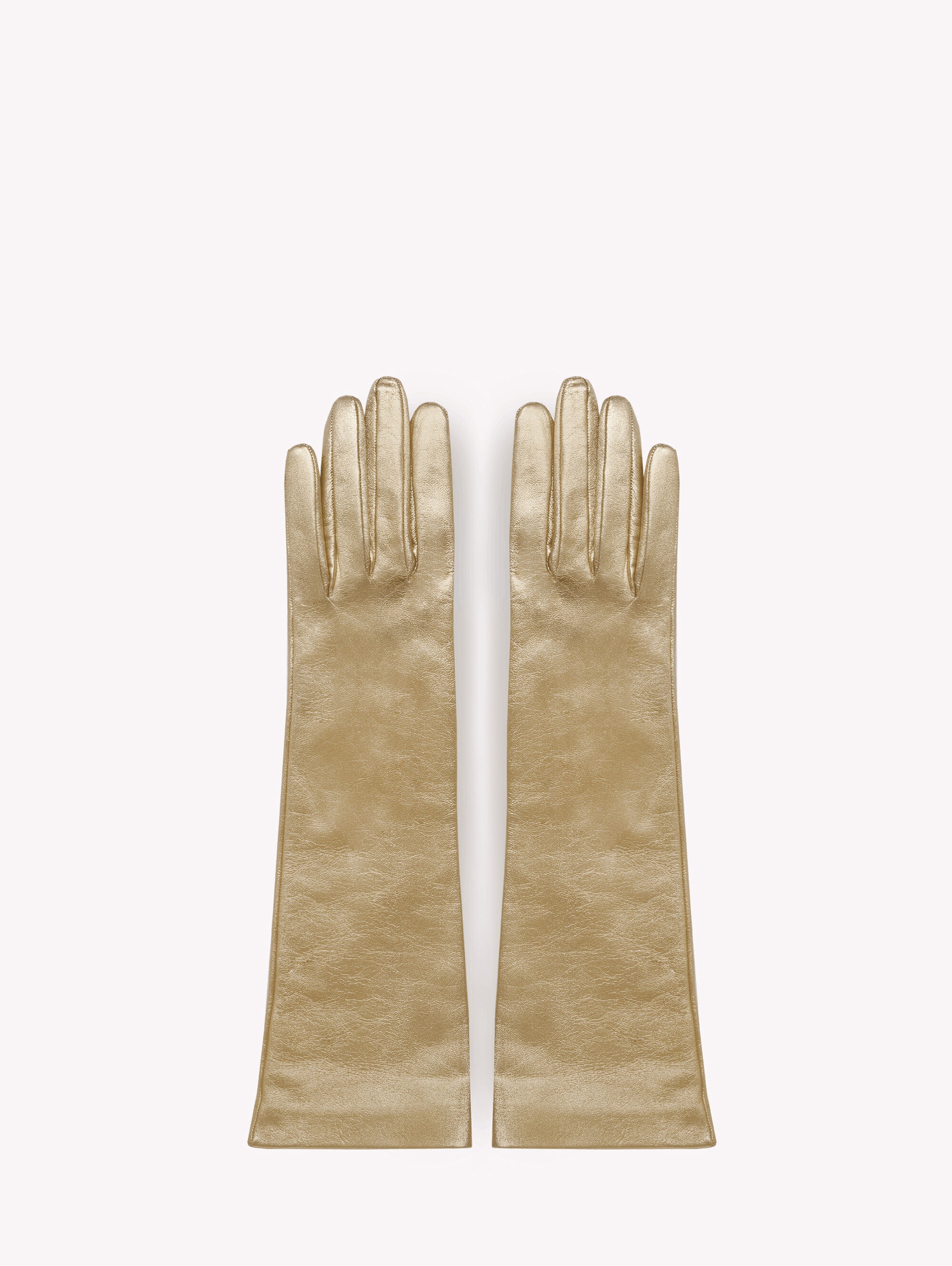 LONG GLOVE - 1