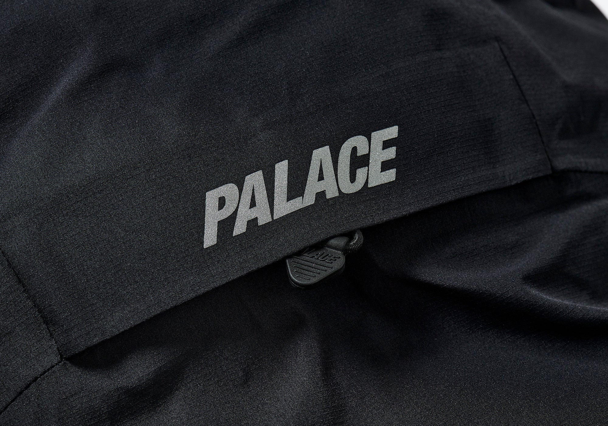 PALACE GORE-TEX CARGO DOWN PARKA BLACK | REVERSIBLE