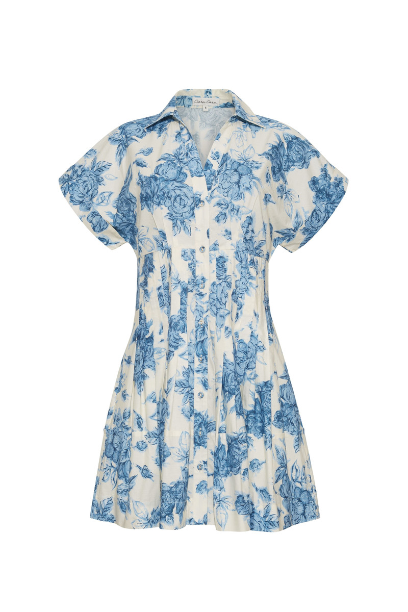 Nash Mini Dress 1
