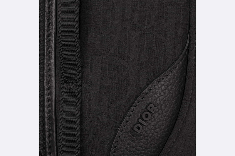 Mini Dior Scarab Bag 5