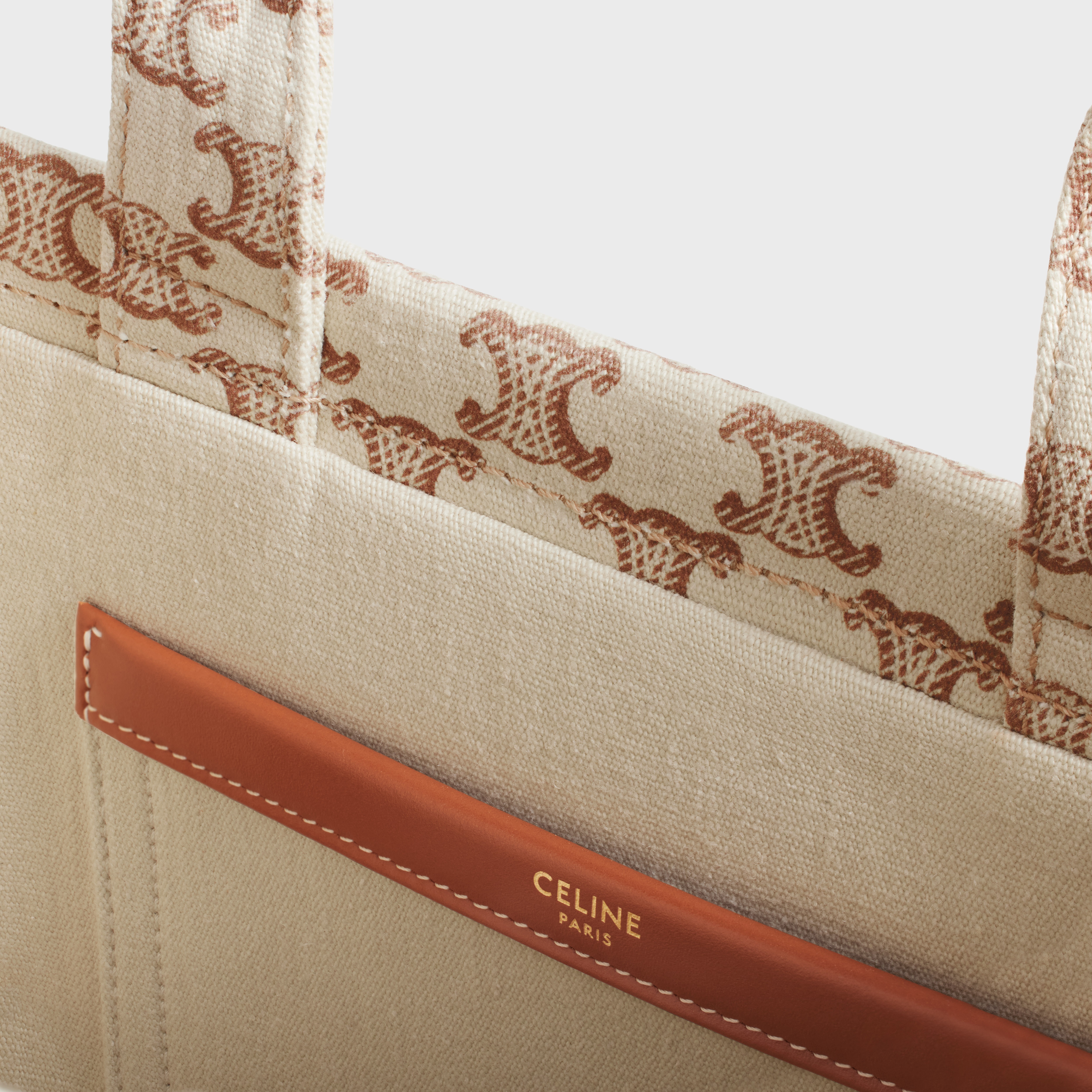 small cabas thais in TEXTILE WITH TRIOMPHE CANVAS PRINT AND CALFSKIN - 4