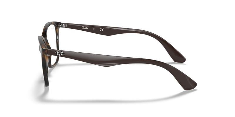 RB7066 OPTICS 5
