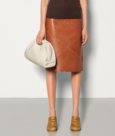 Bottega Veneta THE POUCH outlook