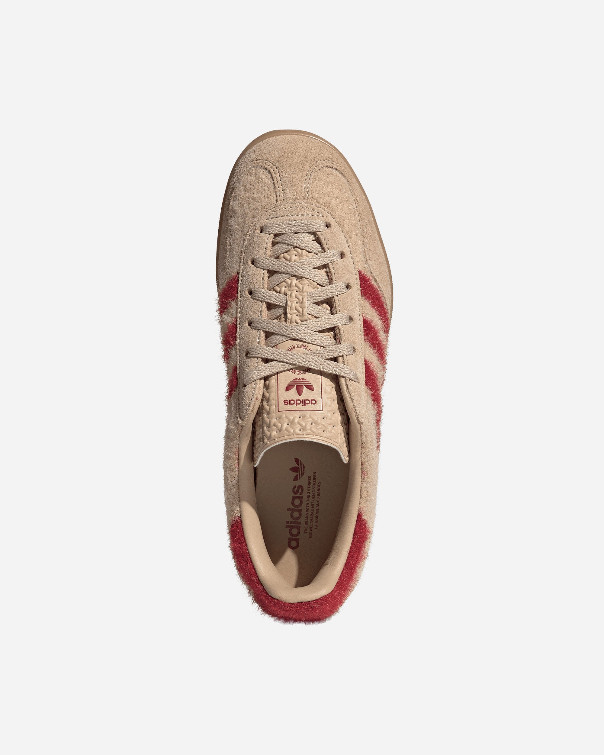 Gazelle Indoor - 4