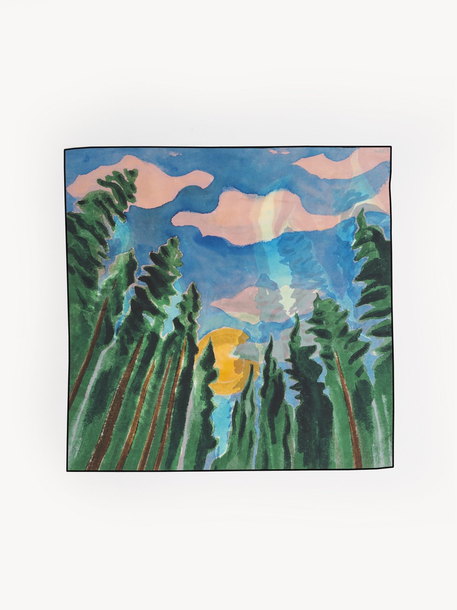 CLIMATE SUCCESS SCARF - 3