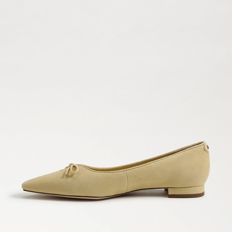 Esmira Pointed Toe Ballet Flat 4