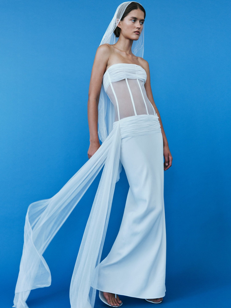 Veiled Corset Dress 1