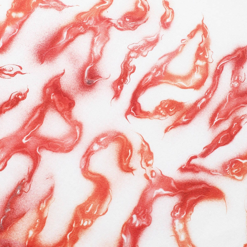 Carhartt BABYBRUSH FF T-SHIRT outlook