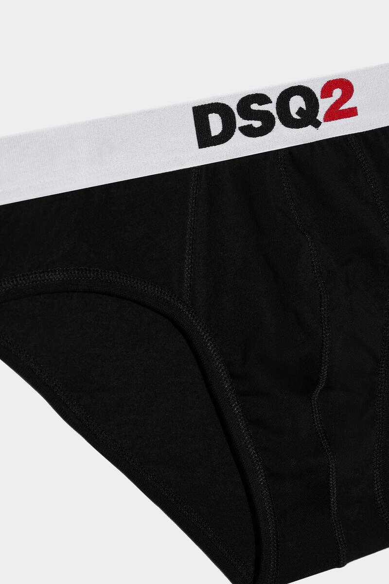 DSQ2 BRIEF - 3