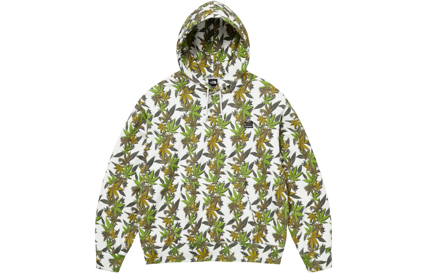 Supreme Supreme x THE NORTH FACE Leaf Hoodie 