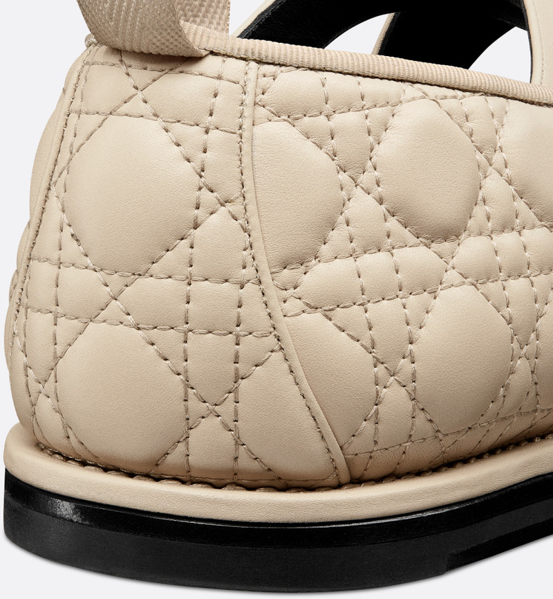 Dior Tendu Ballet Flat 6