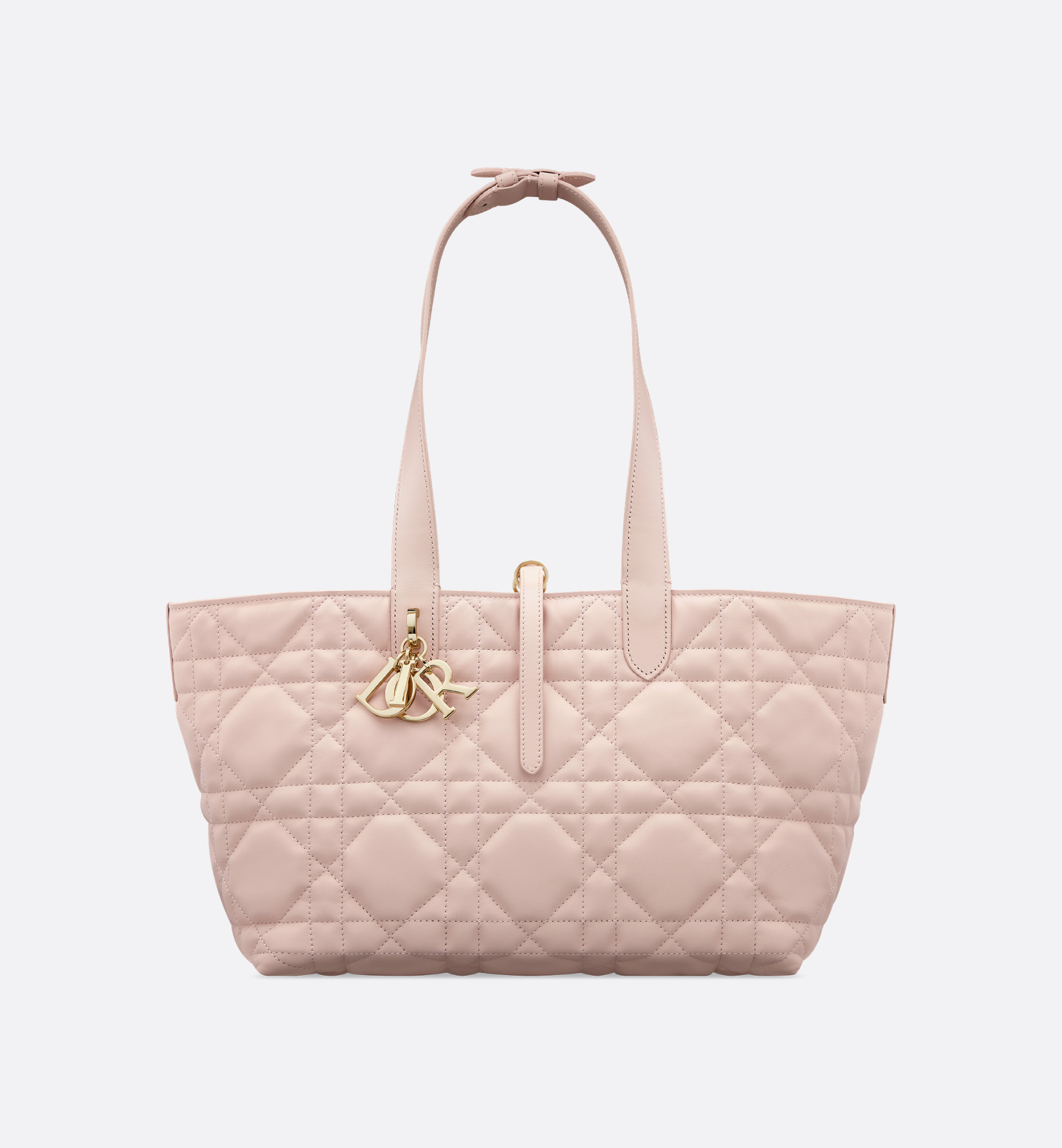 Medium Dior Toujours Bag - 5