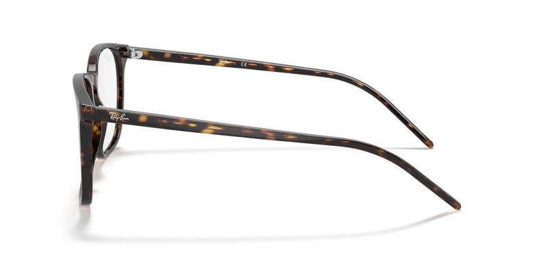 RB5387 OPTICS 5