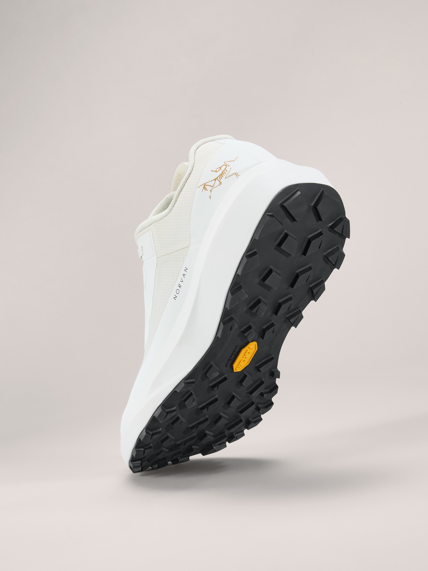 Norvan LD 4 GTX Shoe - 4