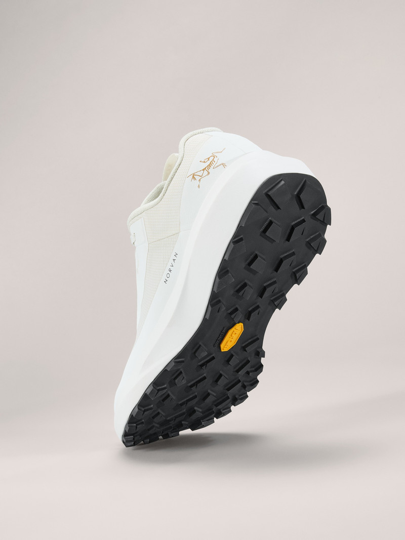 Norvan LD 4 GTX Shoe 4