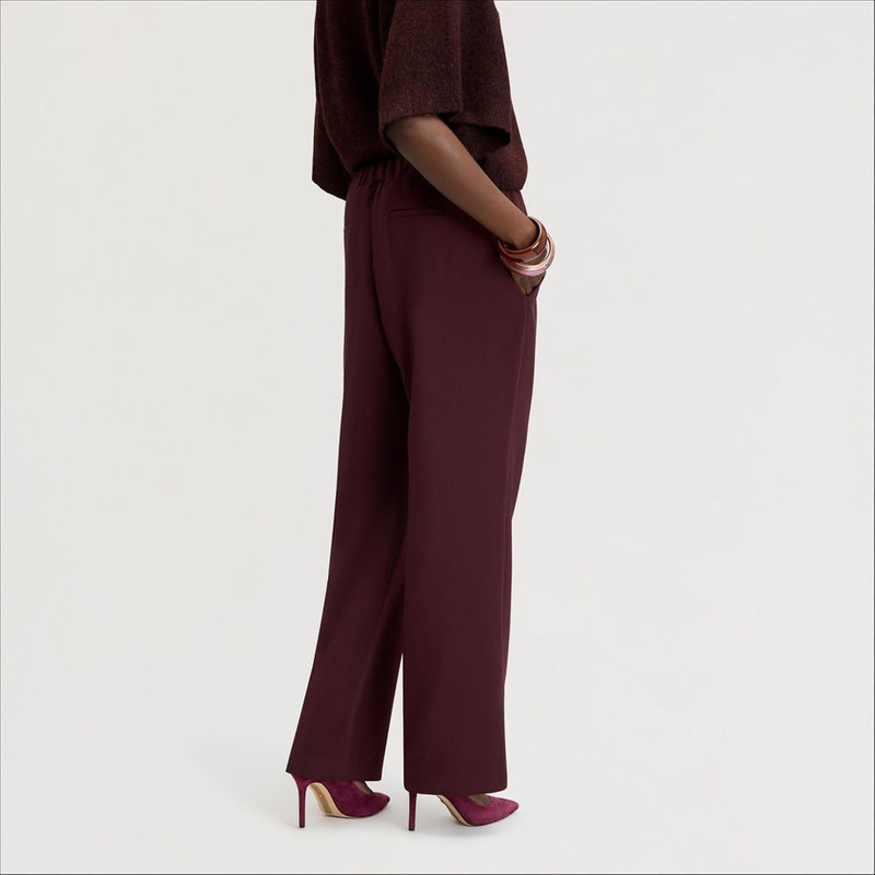 Drawstring Drapey Pant 5