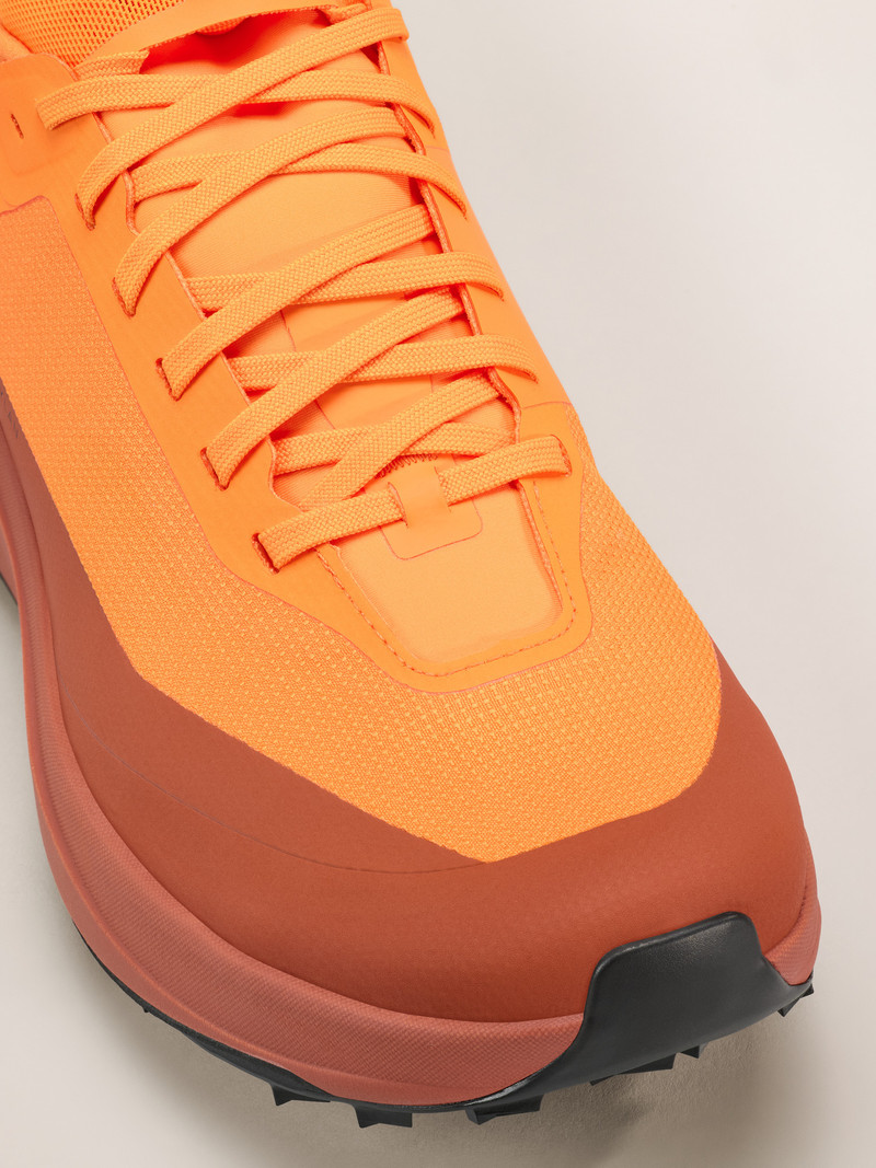 Arc'teryx Sylan GTX Shoe outlook