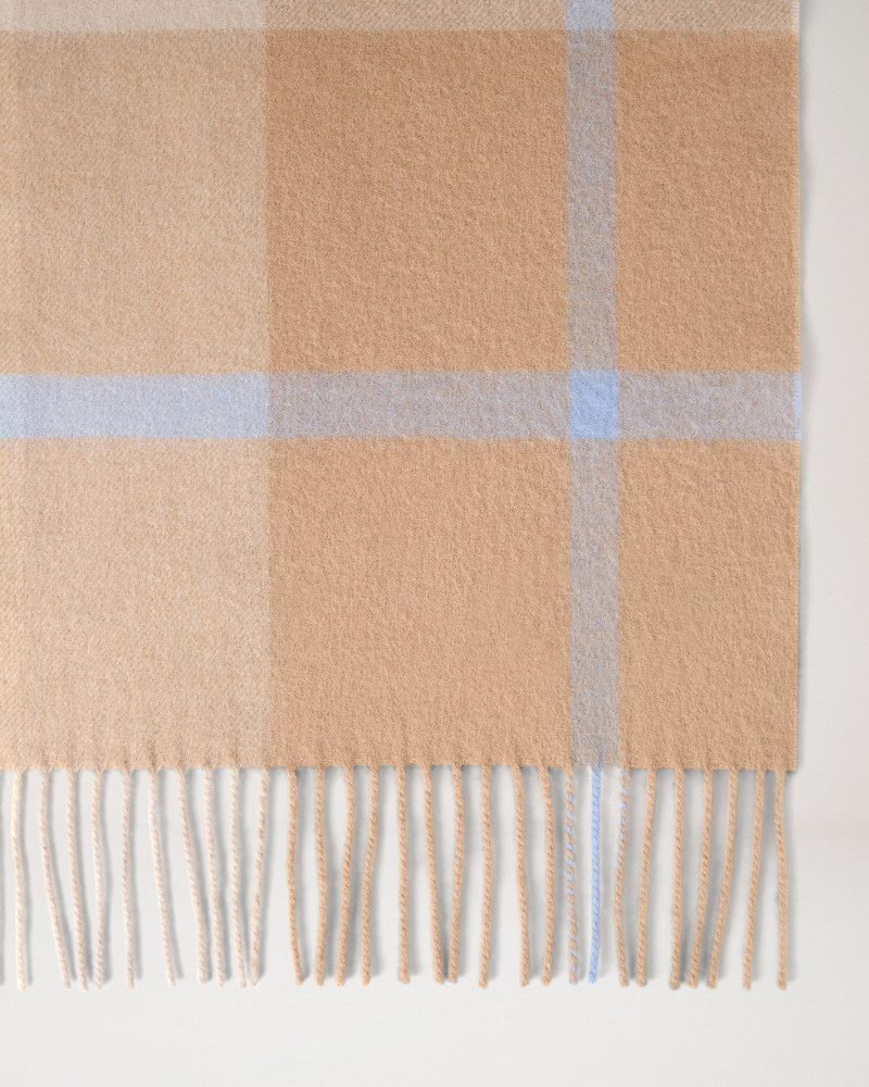 Mulberry Small Check Merino Wool Scarf
Camel & Poplin Blue Merino Wool outlook