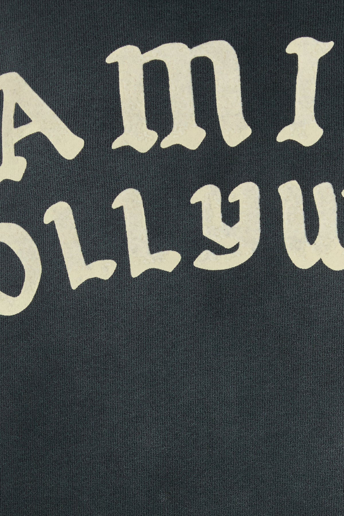 Slate cotton sweatshirt - 3