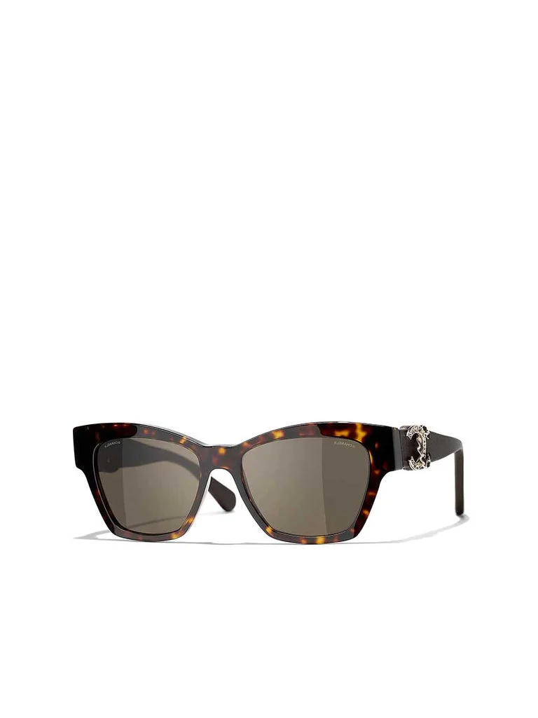 Butterfly Sunglasses CH5456QB Dark Havana & Brown - 1