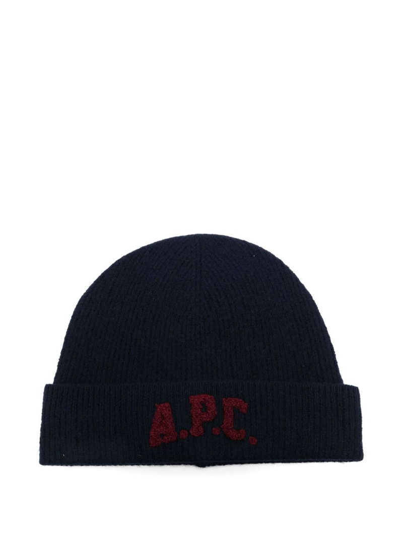 embroidered-logo beanie 1