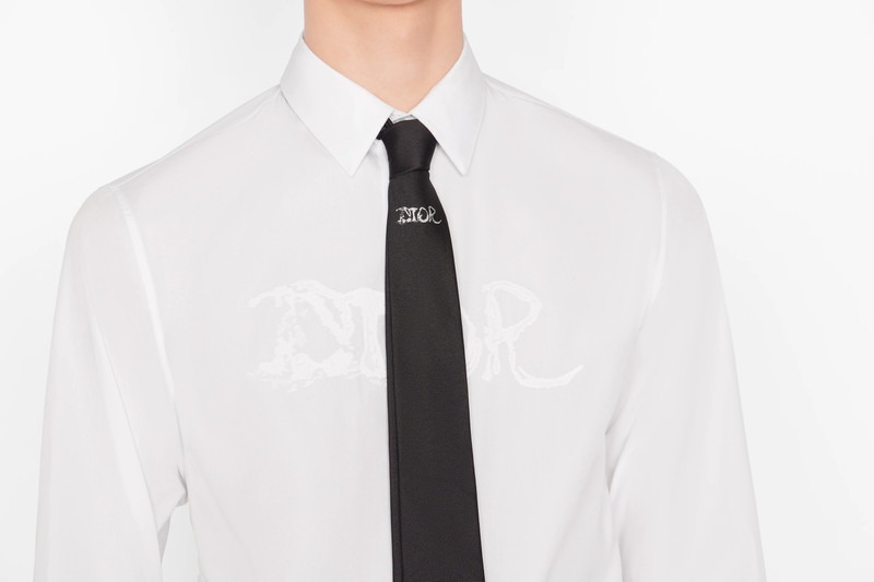 DIOR AND PETER DOIG Tie 3