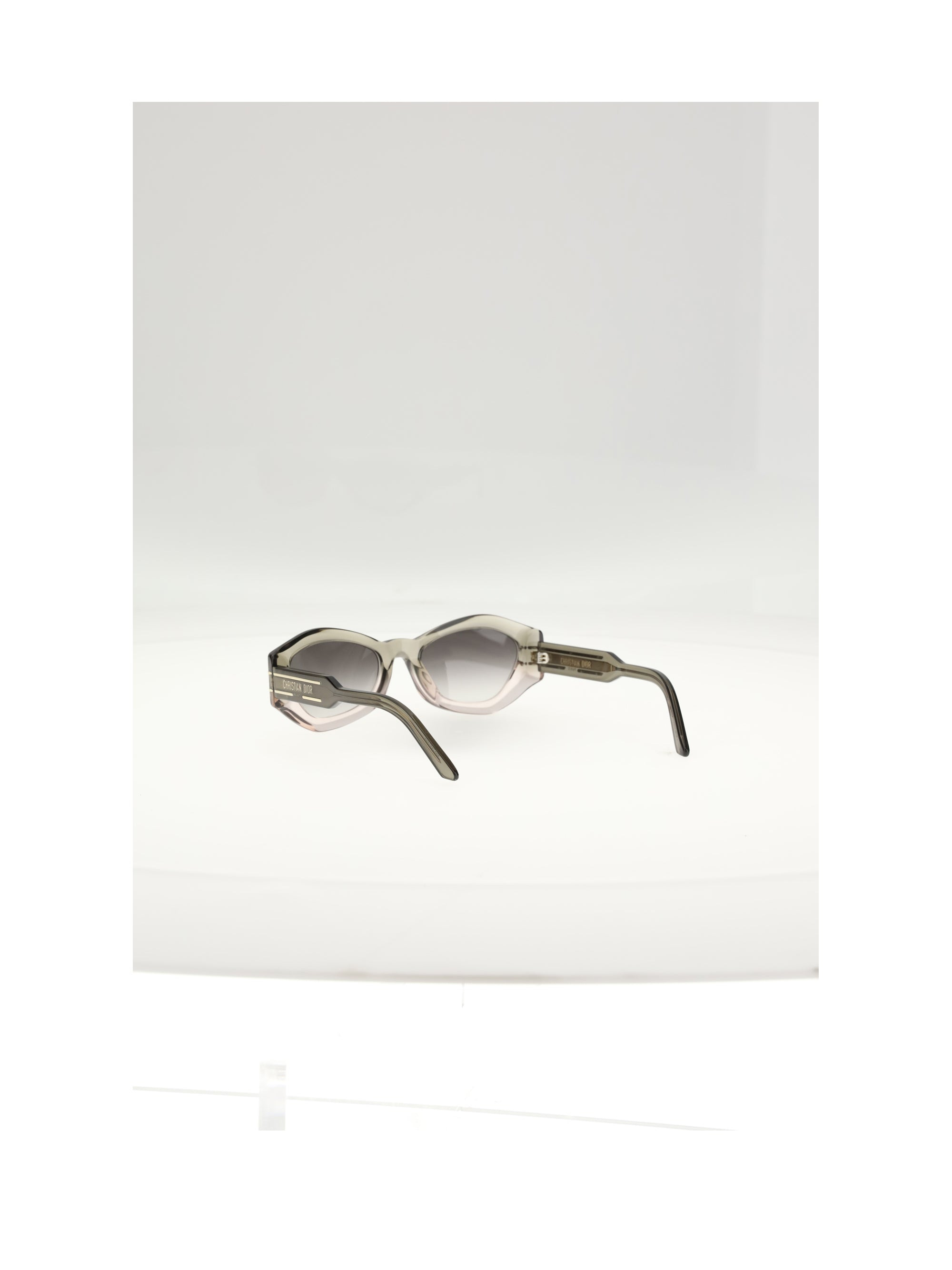 Dior Women Diorsignature B1uxr Sunglasses - 3