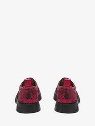The Brogue Shoe - 3
