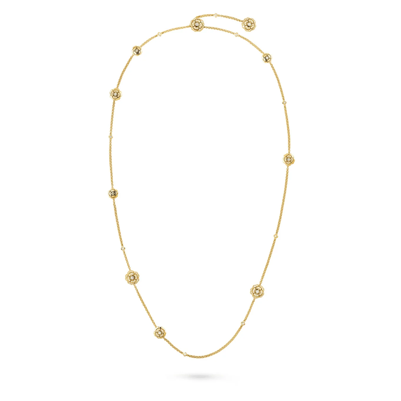 Les infinis de Camélia - 1