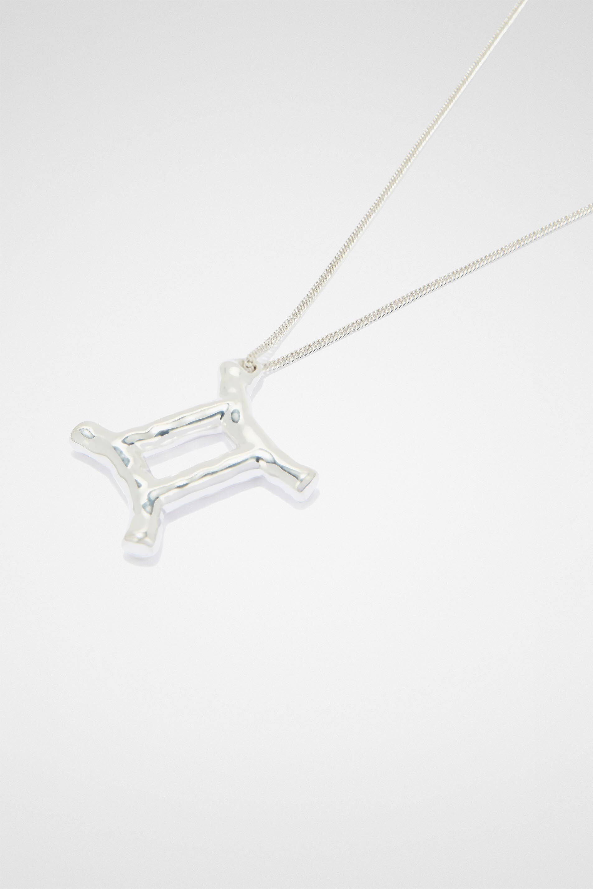 Zodiac Necklace Set - 2
