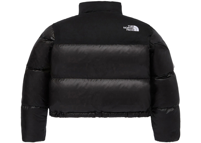 The North Face The North Face Women's Novelty Nuptse RDS Down Jacket Real Black outlook