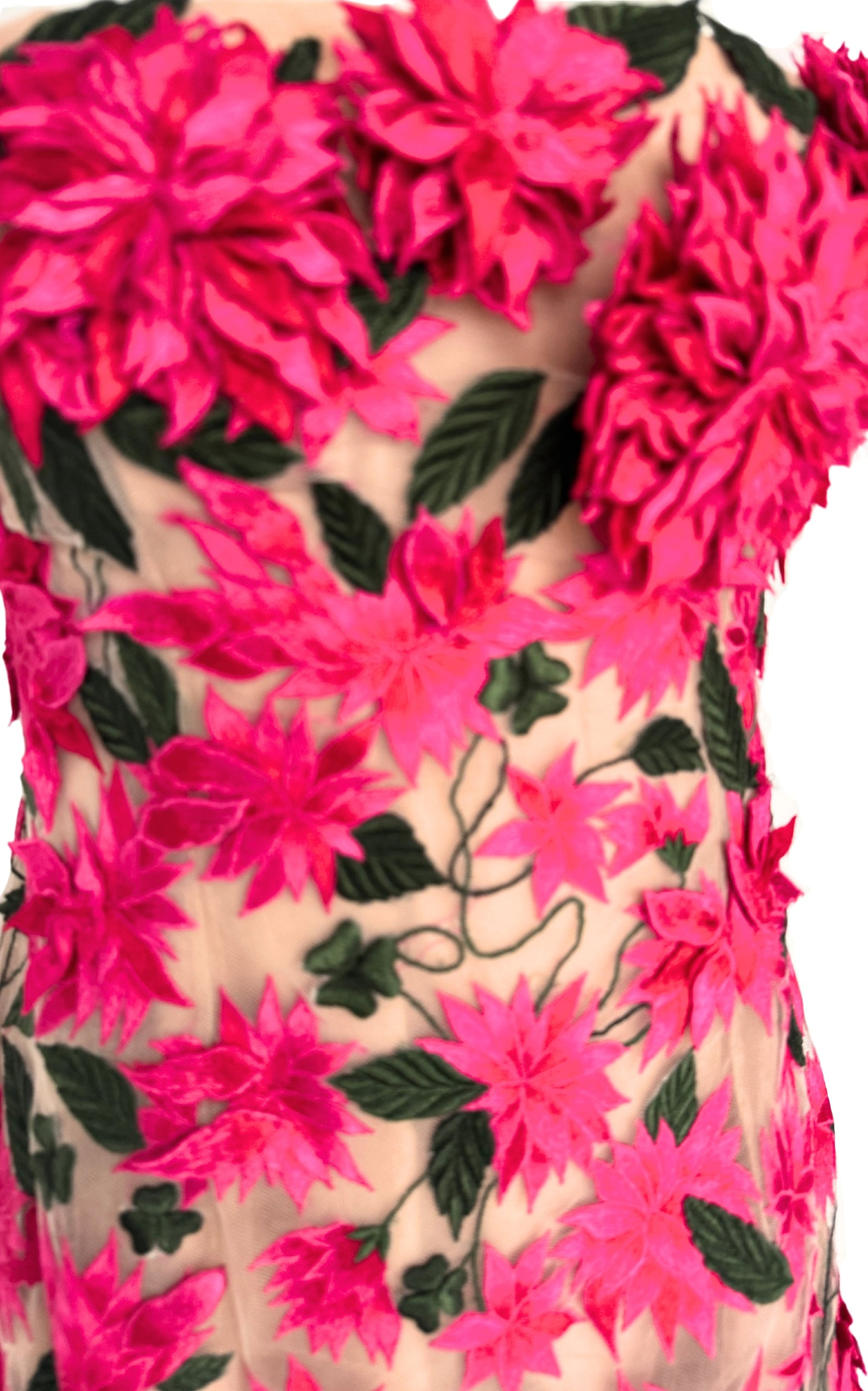 Dahlia Floral-appliqué Mini Dress - 10