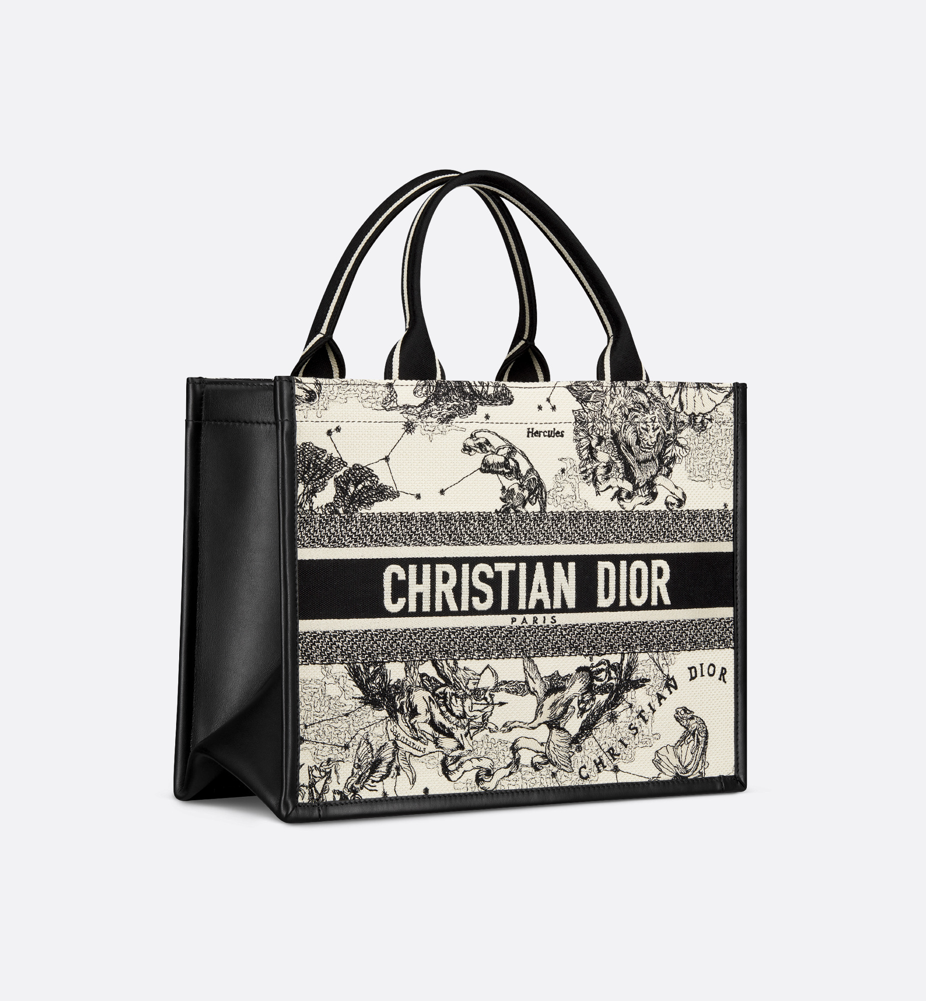 Medium Dior Book Tote - 3
