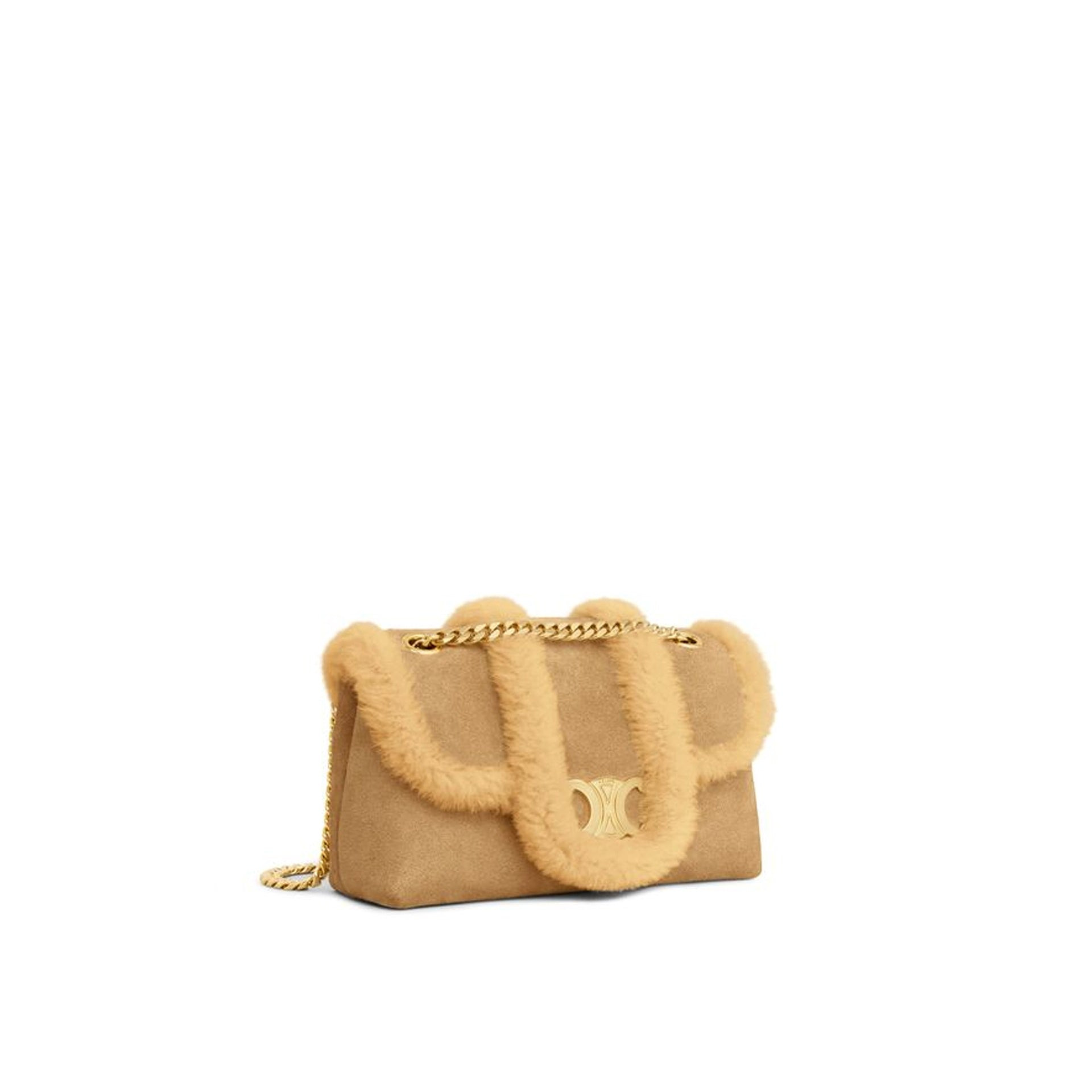 Celine Victoire Teen Shoulder Bag - 3