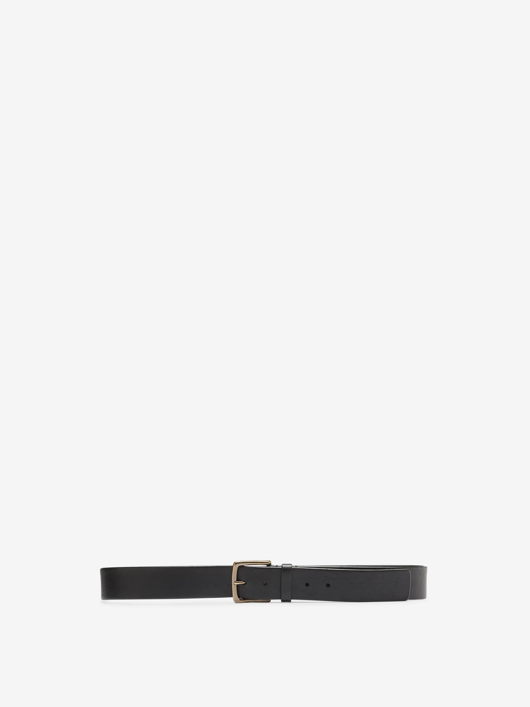 OC STRIP 22 BELT - 1