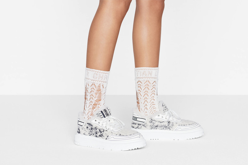 Dior Addict Sneaker 6