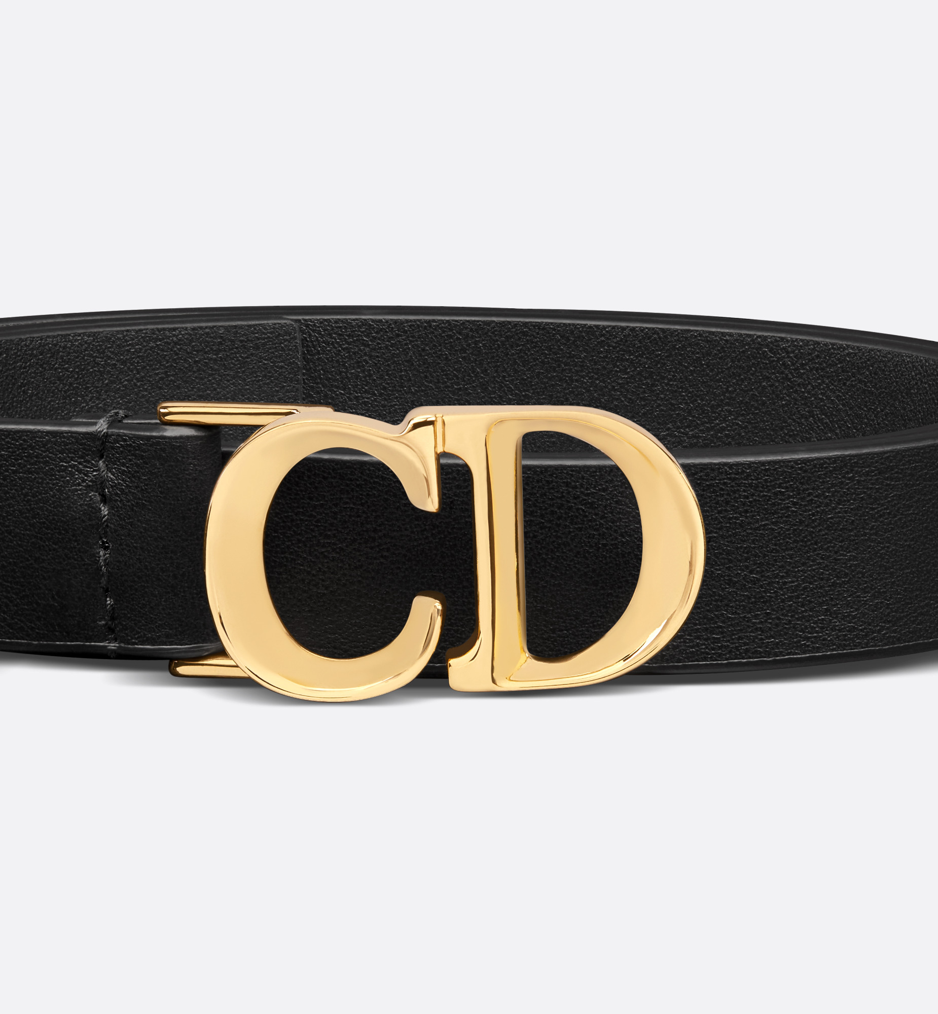 C'est Dior Belt - 5