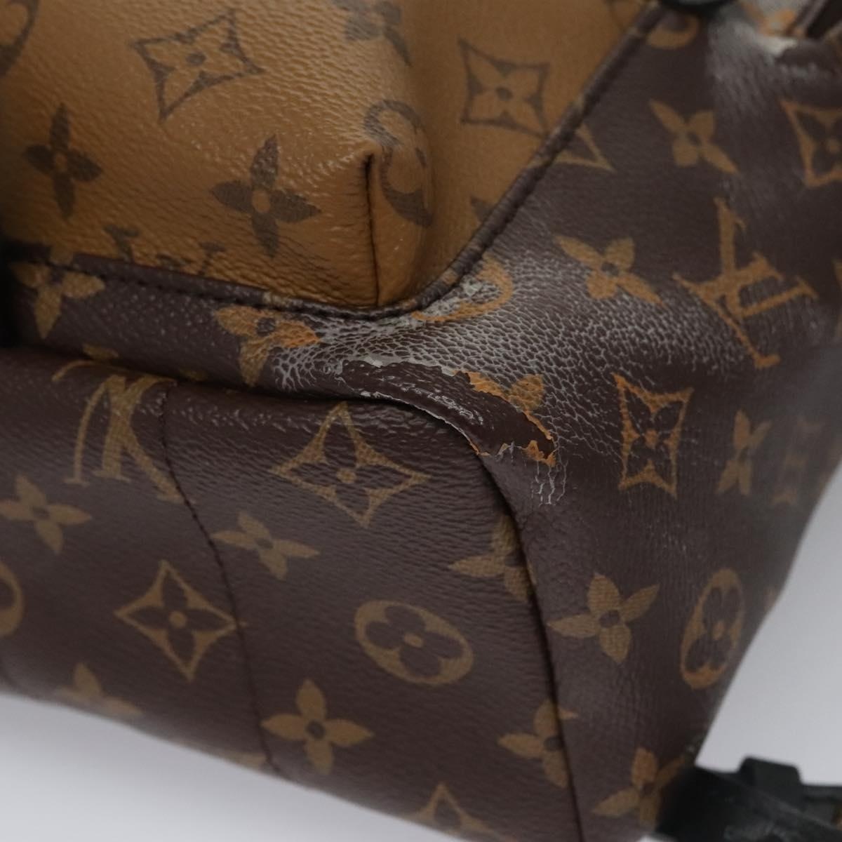 LOUIS VUITTON Monogram Reverse Palm Springs PM Backpack M44870 - 9