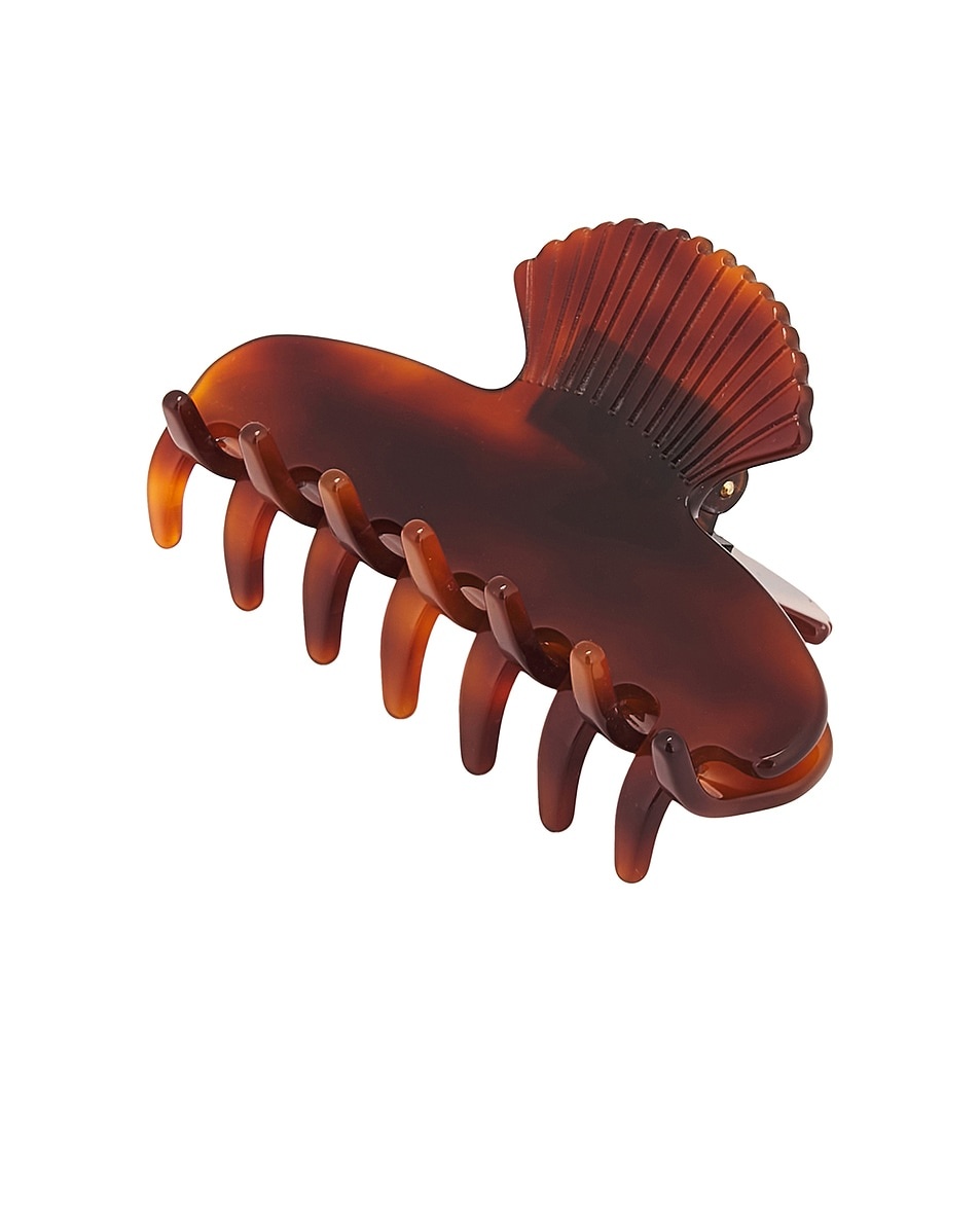 Small Fan Shell Hair Claw - 1