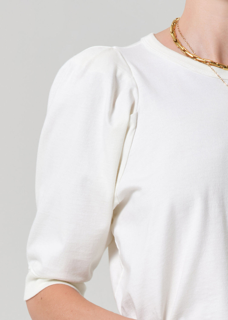 Pia Pleated Sleeve Tee In Pashmina 5