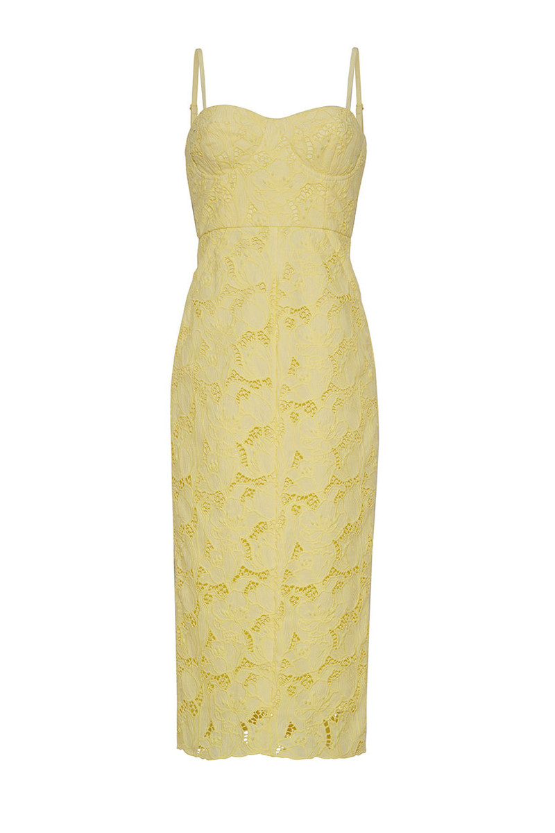 Camille Dress Flirtatious Flare and Scalloped Lace Romance 1